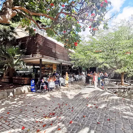 Home2book Cozy La Marina, Cruz Center * Santa Cruz de Tenerife